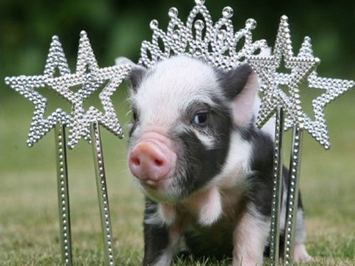 寻找一个人的说说