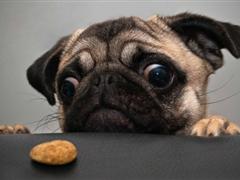 关于春天心情的说说 春天的说说心情短语