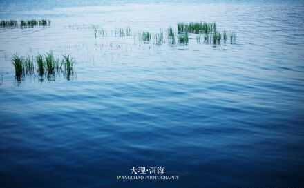 qq说说开心心情短语