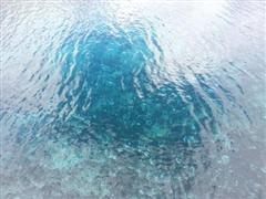 珍惜水的名言警句 关于珍惜水的名人名言