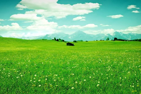 毕业一句话感言