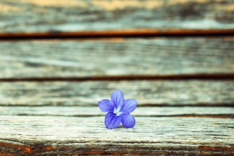 qq空间伤感说说段子