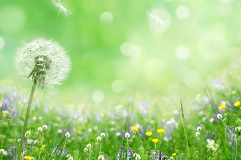 带星字的网名大全