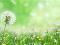 带星字的网名大全