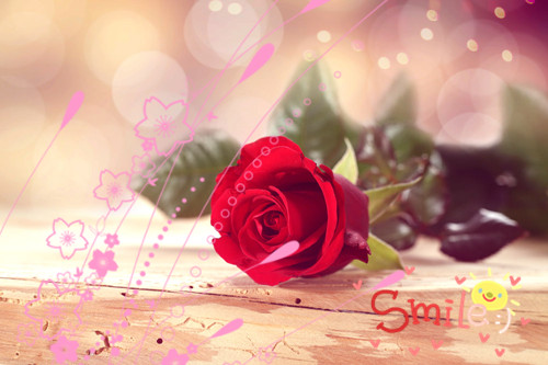 成长心灵鸡汤人生哲理，给人启迪！