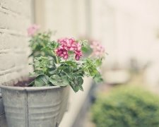 一次次的谎言的说说 谎言说说心情短语