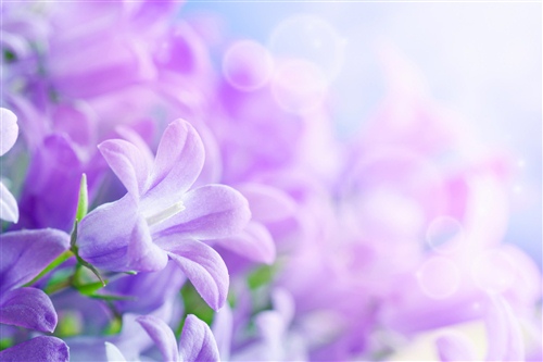 感恩遇见的文艺句子 关于遇见的唯美句子