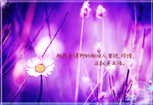 学会不在乎的说说 只是因为不在乎的说说