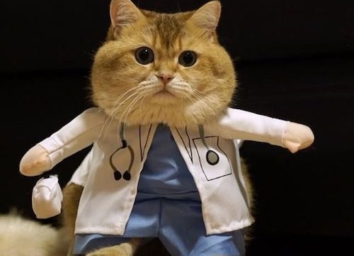 网红经典搞笑语录短句 一句话经典搞笑语录