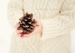 关于梦想的文艺唯美句子 我的梦想唯美句子