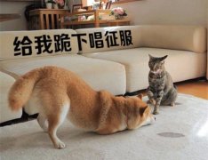 百分百逗人笑的笑话 一句话笑话逗人开心