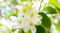 旅游朋友圈配文字幽默 旅行说简单一句话