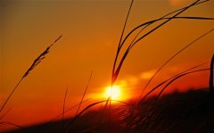 写在手帐上的英文句子 适合手帐的英文短句子