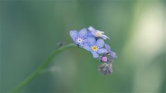 奔波路上的辛苦的说说 一个人在外奔波的说说