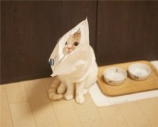 人生路坎坷的说说 人生处处是坎坷的说说