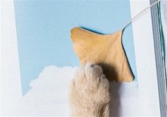 感冒发朋友圈的句子 感冒最难受经典短句