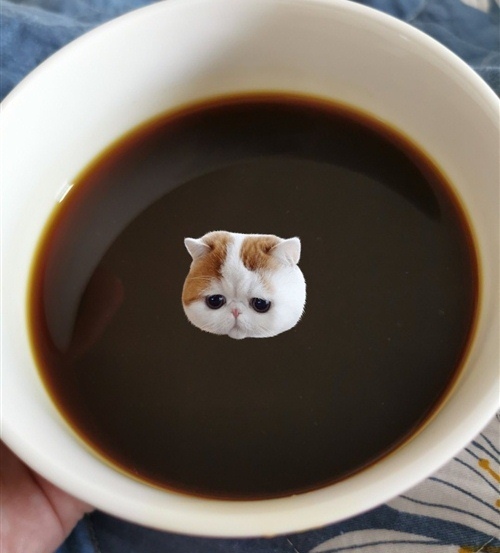 中药难喝的说说 中药好苦的心情说说