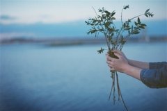 感觉自己失败的心情说说