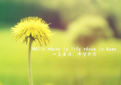 坚持不放弃正能量的句子