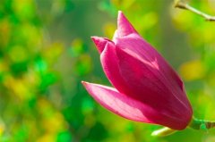 人到中年懂得珍惜的朋友圈说说