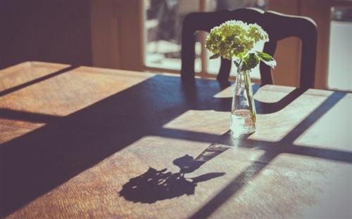 姓杨的微信名字 最潮流姓杨的网名