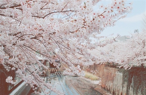 80后有品味的微信名字