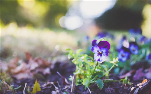 用清字起个好听的微信名