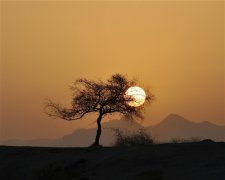 带有王字的昵称三个字