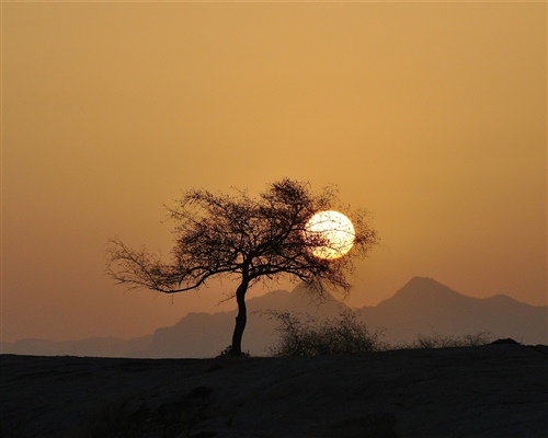 带有王字的昵称三个字