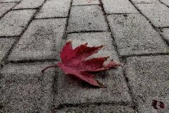 想家了怎么发朋友圈 适合发朋友圈思乡的句子