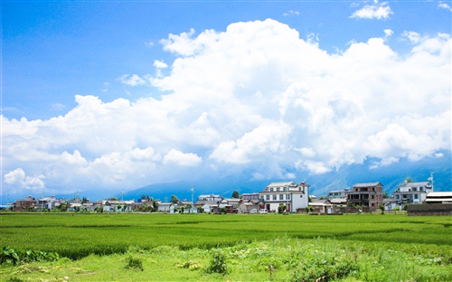 感慨父母不容易的说说