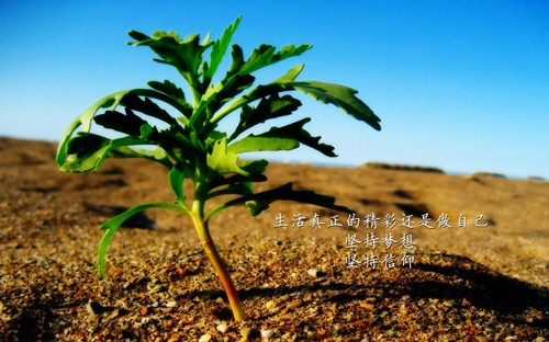 早安心语正能量一句话2020最新