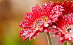 适合跨年发的说说 跨年说说暖心话语