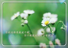 适合中午发的很暖心的句子 午安发朋友圈的句子