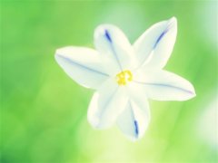 2020本命年发朋友圈的说说 2020本命年简短朋友圈