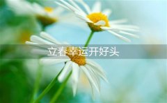 2020今日立春发朋友圈的心情说说