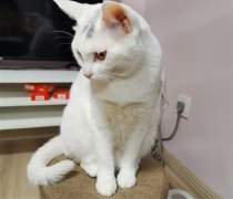 珍惜在家的时光朋友圈说说