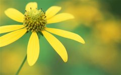 团结一心战胜疫情的句子 战疫情振奋人心的话