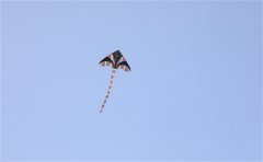 天气好放风筝的说说 放风筝一句话朋友圈说说