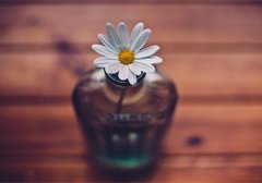 写给出轨老公简短的话 写给有外遇的老公的话