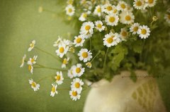 形容有个好婆婆的说说 感恩婆婆的经典说说