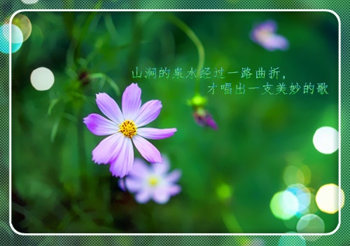 2020送给女生励志的一句话