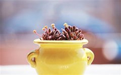 对情人说的暖心一句话 最感动情人的一句话