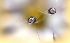 小女孩用的抖音网名 小女孩俏皮可爱网名大全