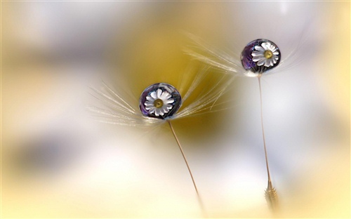 小女孩用的抖音网名 小女孩俏皮可爱网名大全