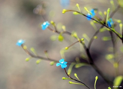 简单又好听的老人网名 好听的微信网名适合老年人的