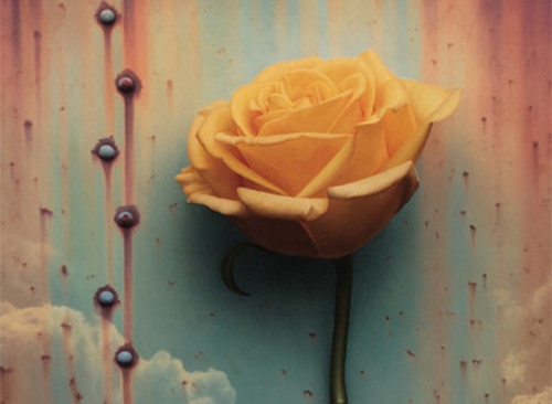 2020年女人最佳抖音网名