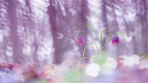 男生简单高冷网名两个字