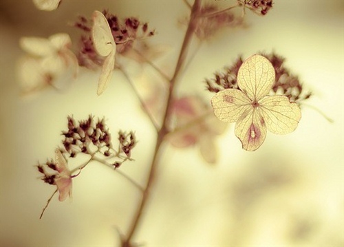 四十五岁的微信网名两字