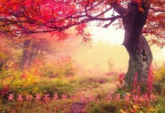 今天立秋送给朋友的祝福语